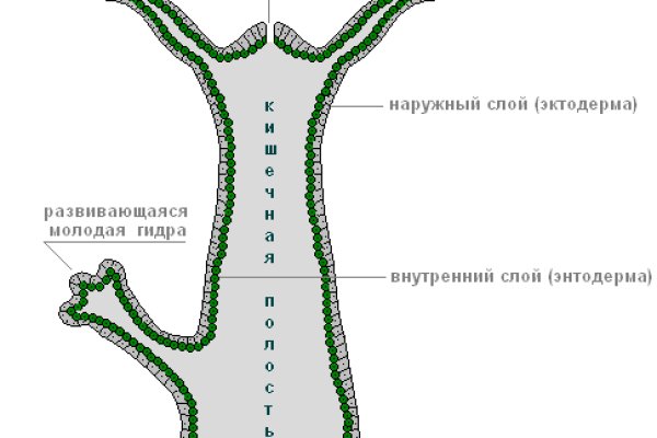 Кракен как войти через тор