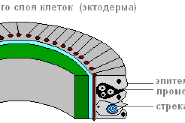 Кракен сайт kr2web in зеркало рабочее