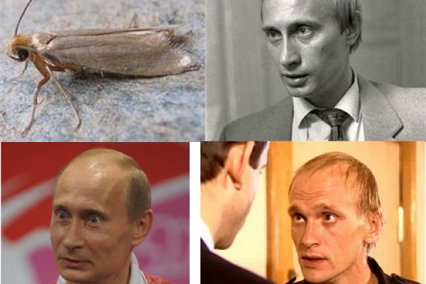 Кракен зон