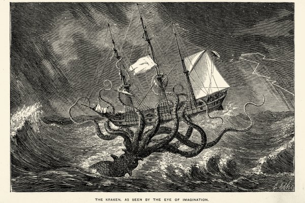 Kraken площадка