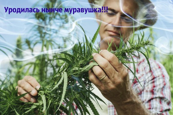 Кракен торговая