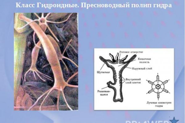 Новый адрес крамп 2022