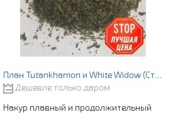 Кракен сайт дарк нет