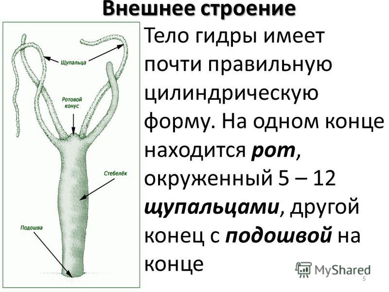 Кракен вход магазин